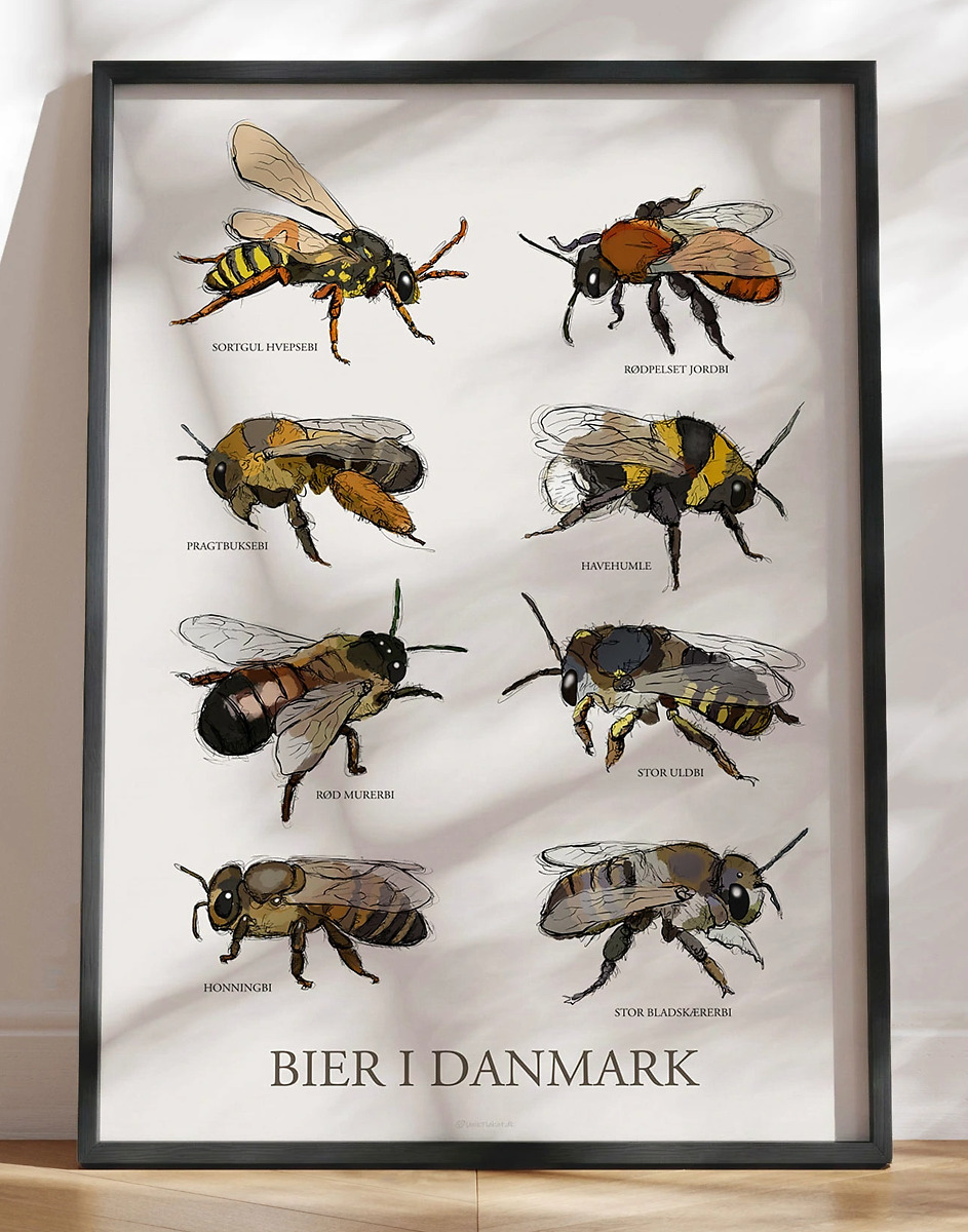 Plakat Med Bier   Håndtegnede Danske Bier