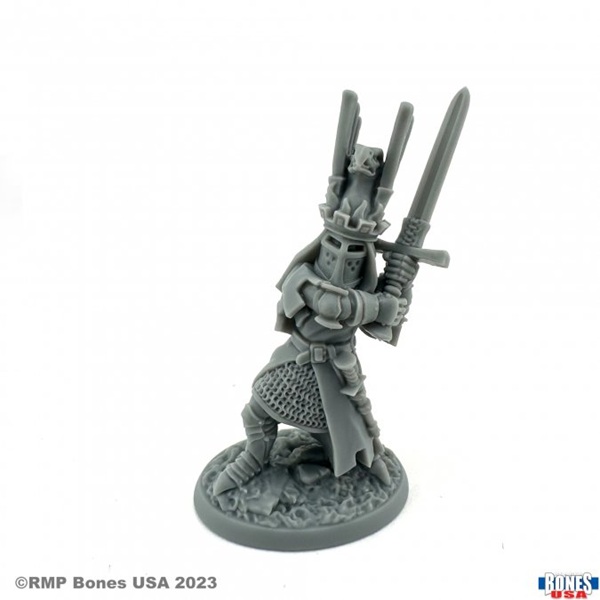 Reaper Bones Usa Reaper Legends: Sir James The Blue Plastic Miniature