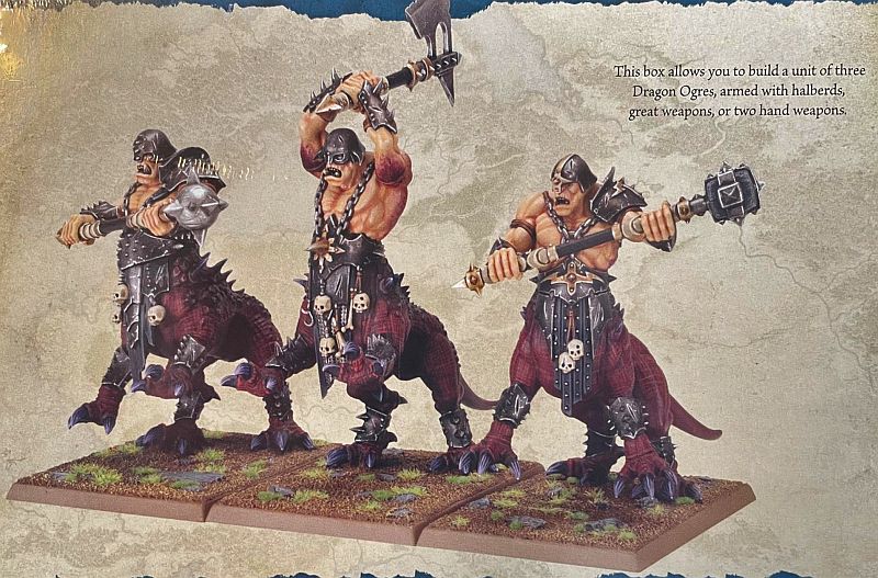 Warriors Of Chaos Dragon Ogres  2024  99122701011 Do